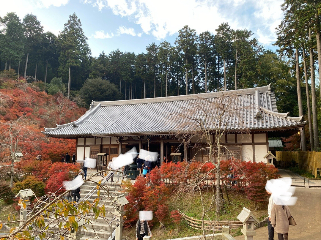 Nomiyama Kannon-ji Temple景点图片