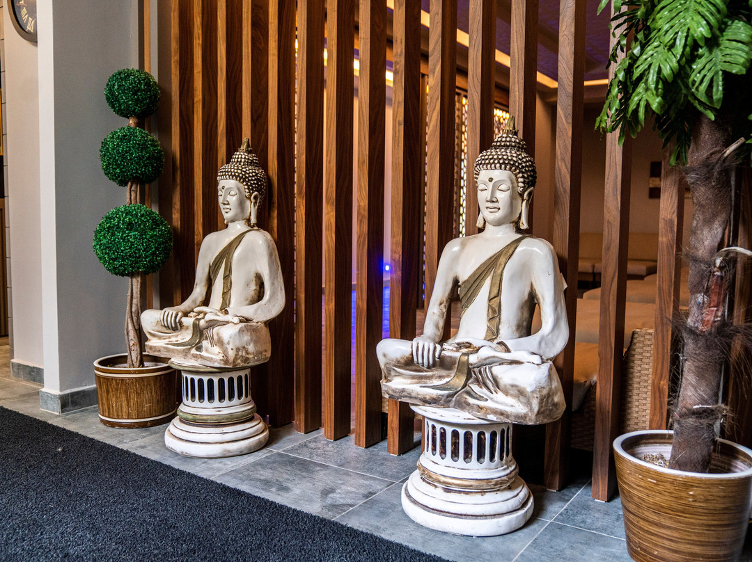 Hierapark Thermal Hotel Pamukkale主图