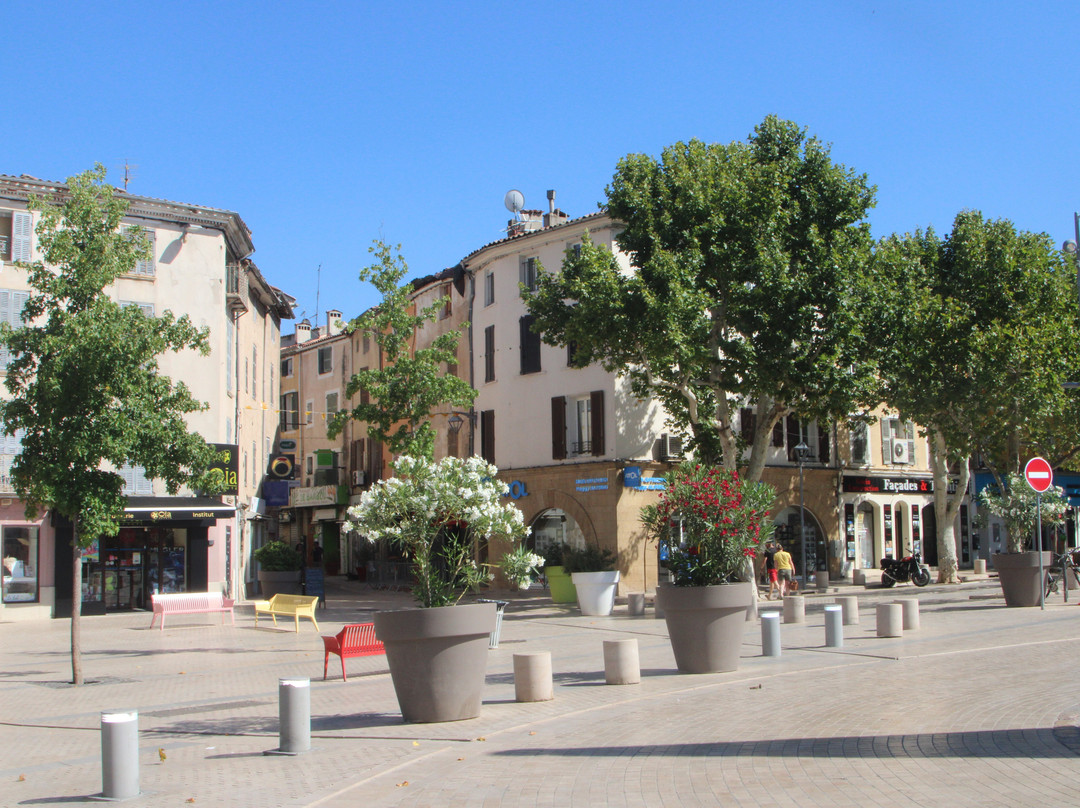 Centre Vile Saint-Maximin-la-Sainte-Baume景点图片