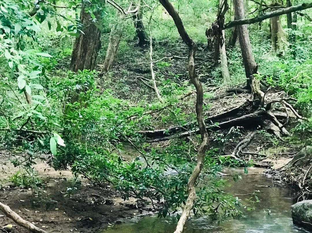 Tukbro-锡吉里亚必去景点