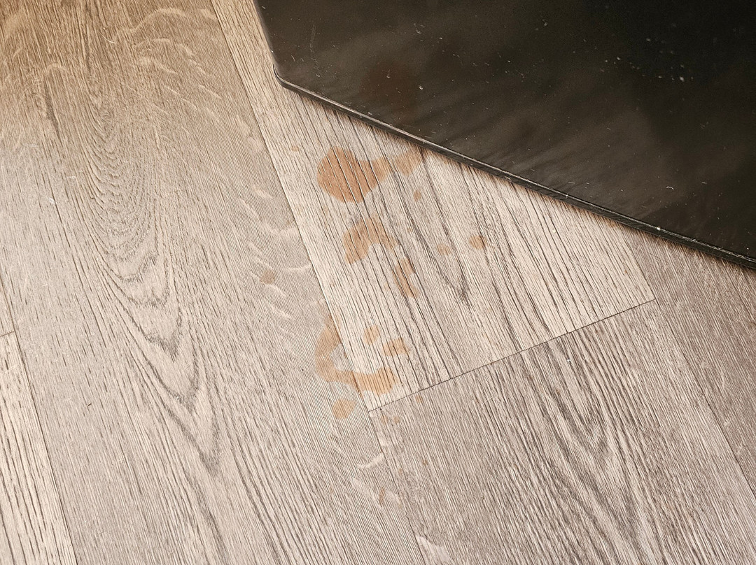 Super 8 by Wyndham Pekin / Peoria Area主图