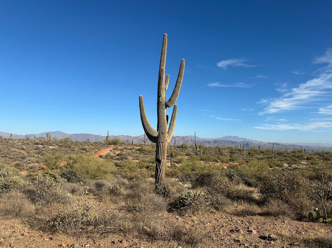 Wild West Jeep Tours-斯科茨代尔必去景点