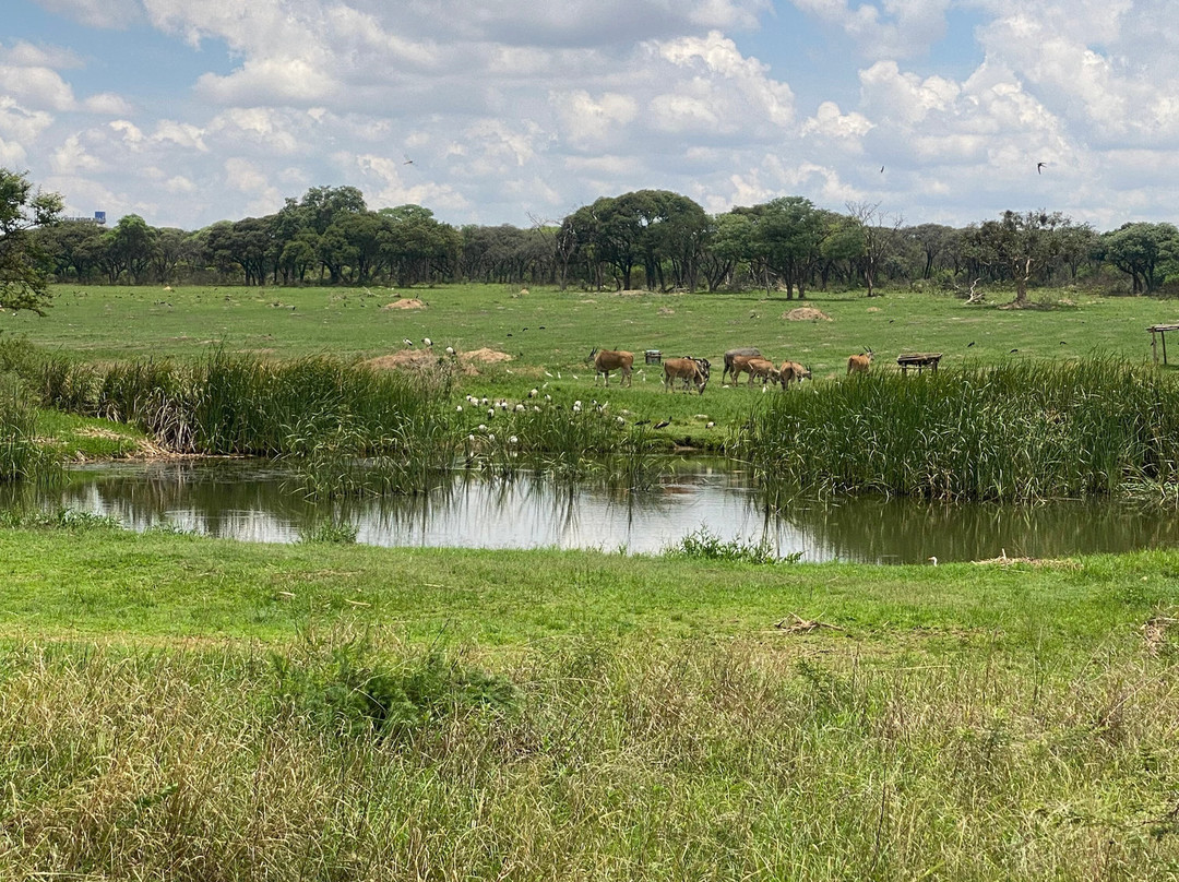 Mukuvisi Woodlands景点图片