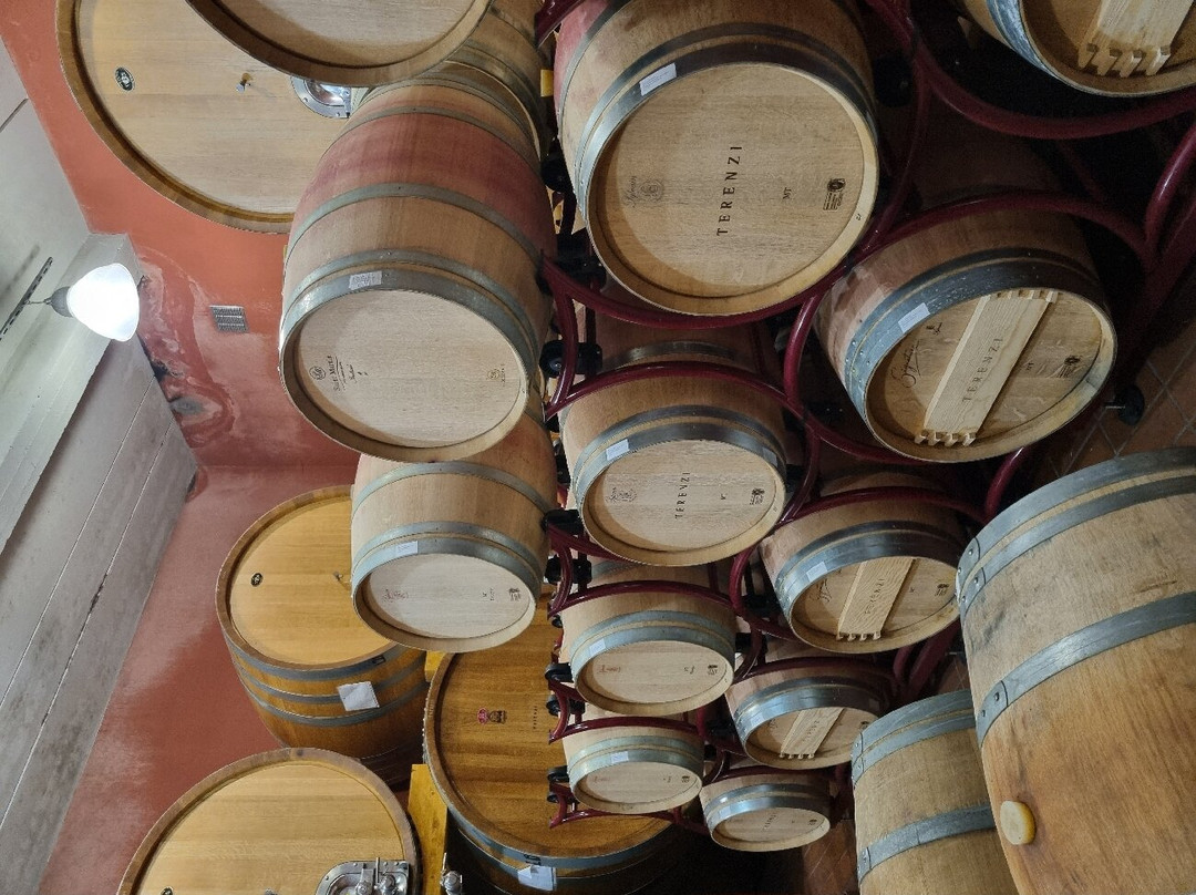 Terenzi Winery-Scansano必去景点