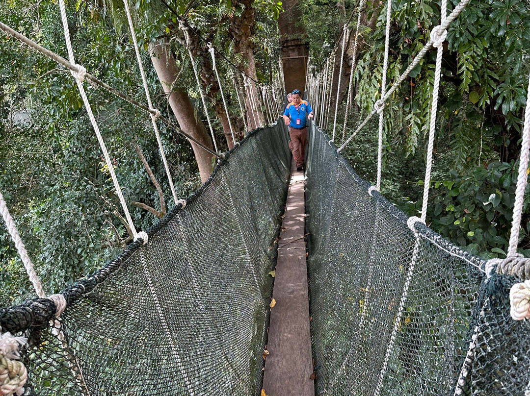 Remarkable Borneo Travel & Tours Sdn Bhd-兵南邦必去景点