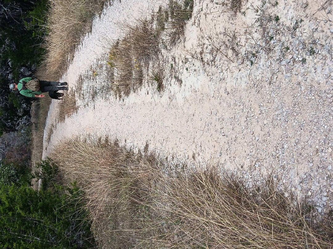 Pedernales Falls State Park-Johnson City必去景点
