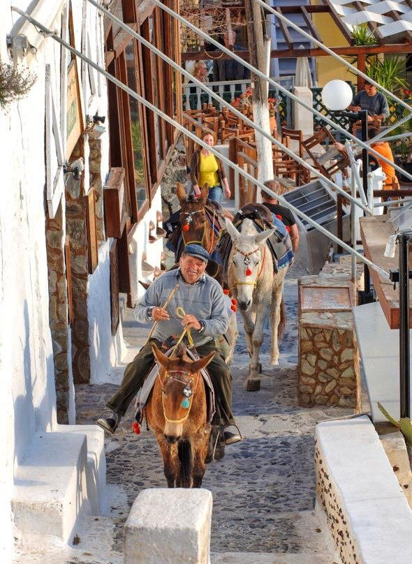 True Santorini Experience-圣托里尼必去景点