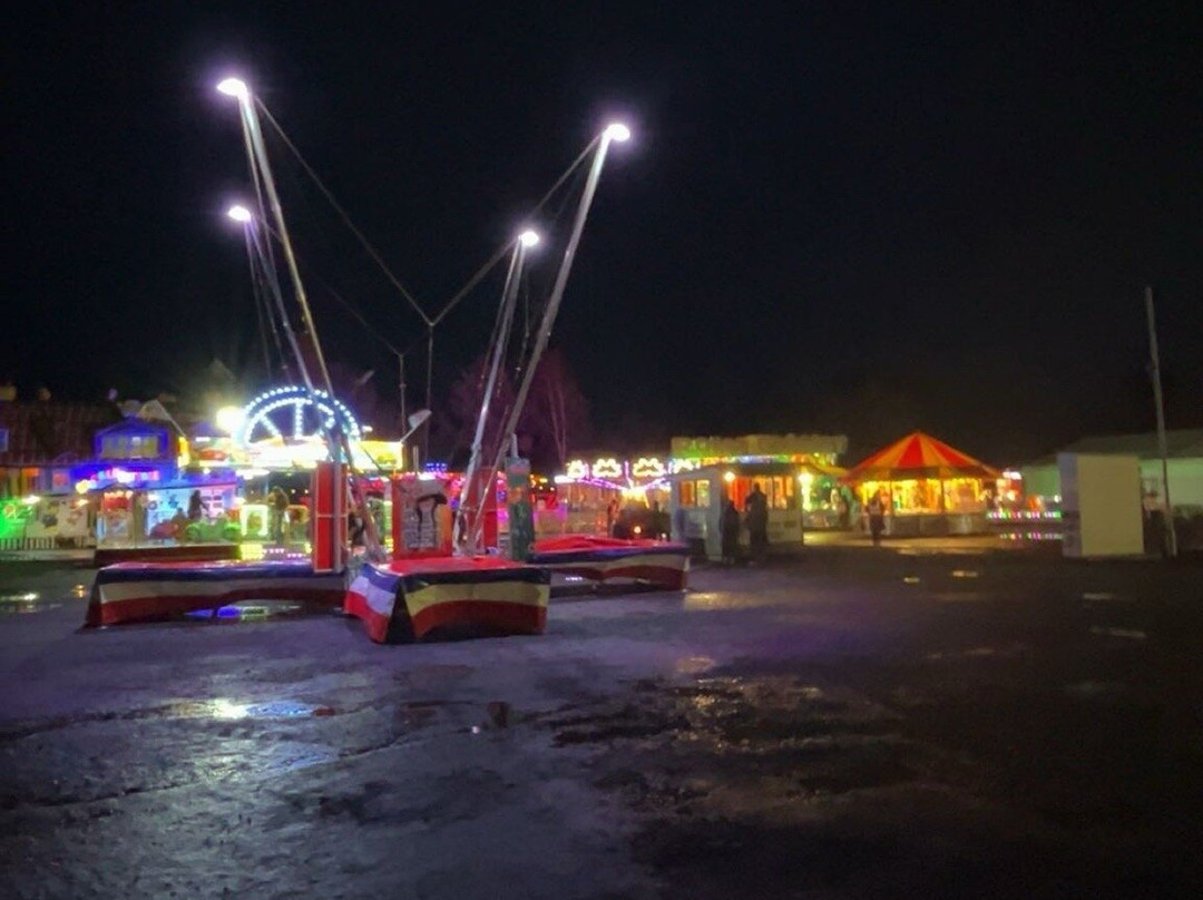 Conifox Adventure Park景点图片