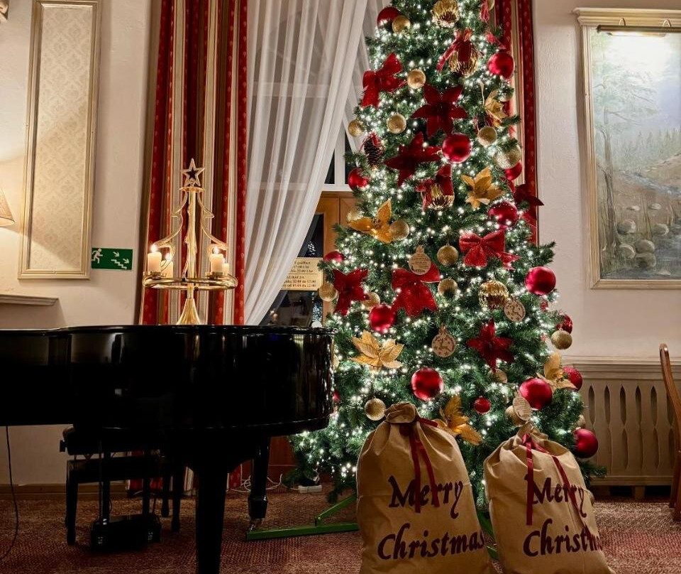 Hotel Pod Jeleniem主图