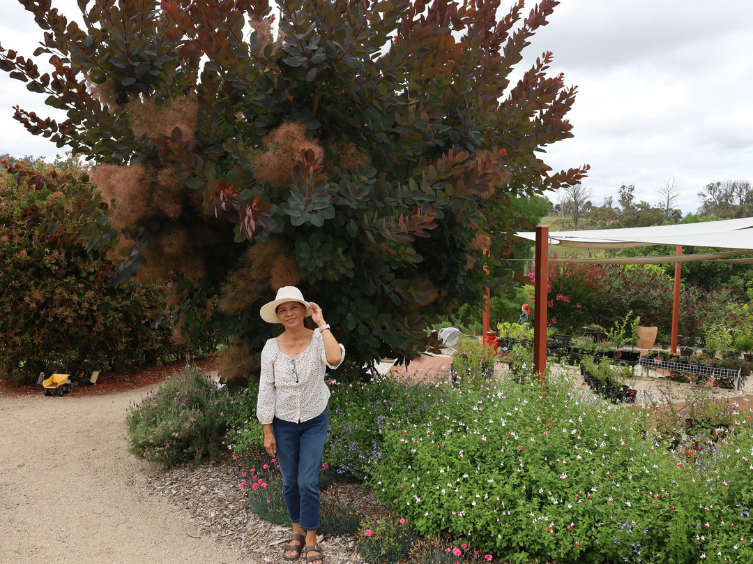 Cherrydale Orchard-坦特菲尔德必去景点