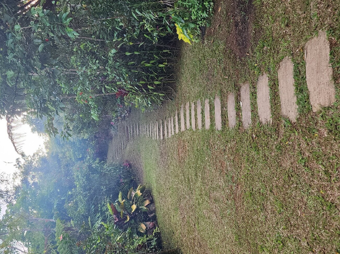 Mt. Manunggal-Balamban必去景点