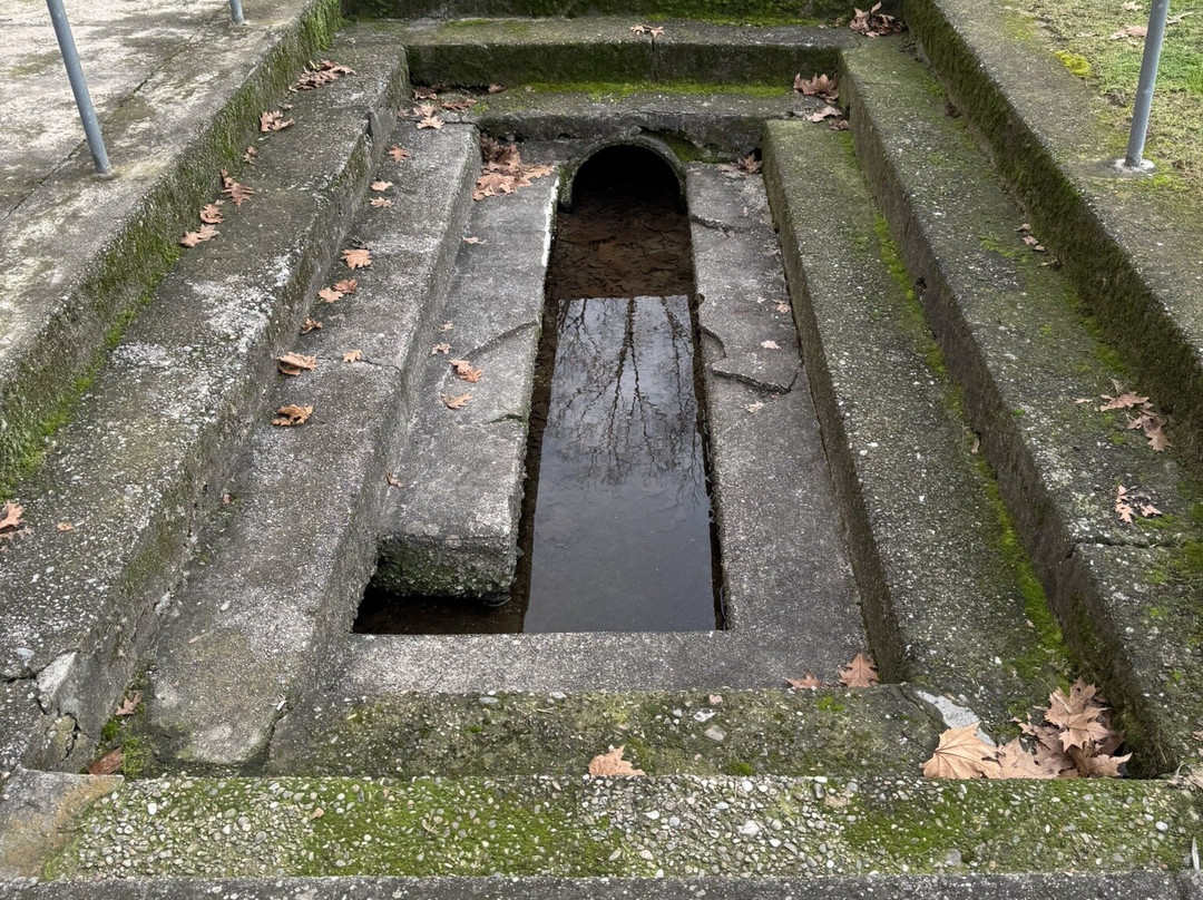 Santuario della Madonna dell'Acquanera景点图片