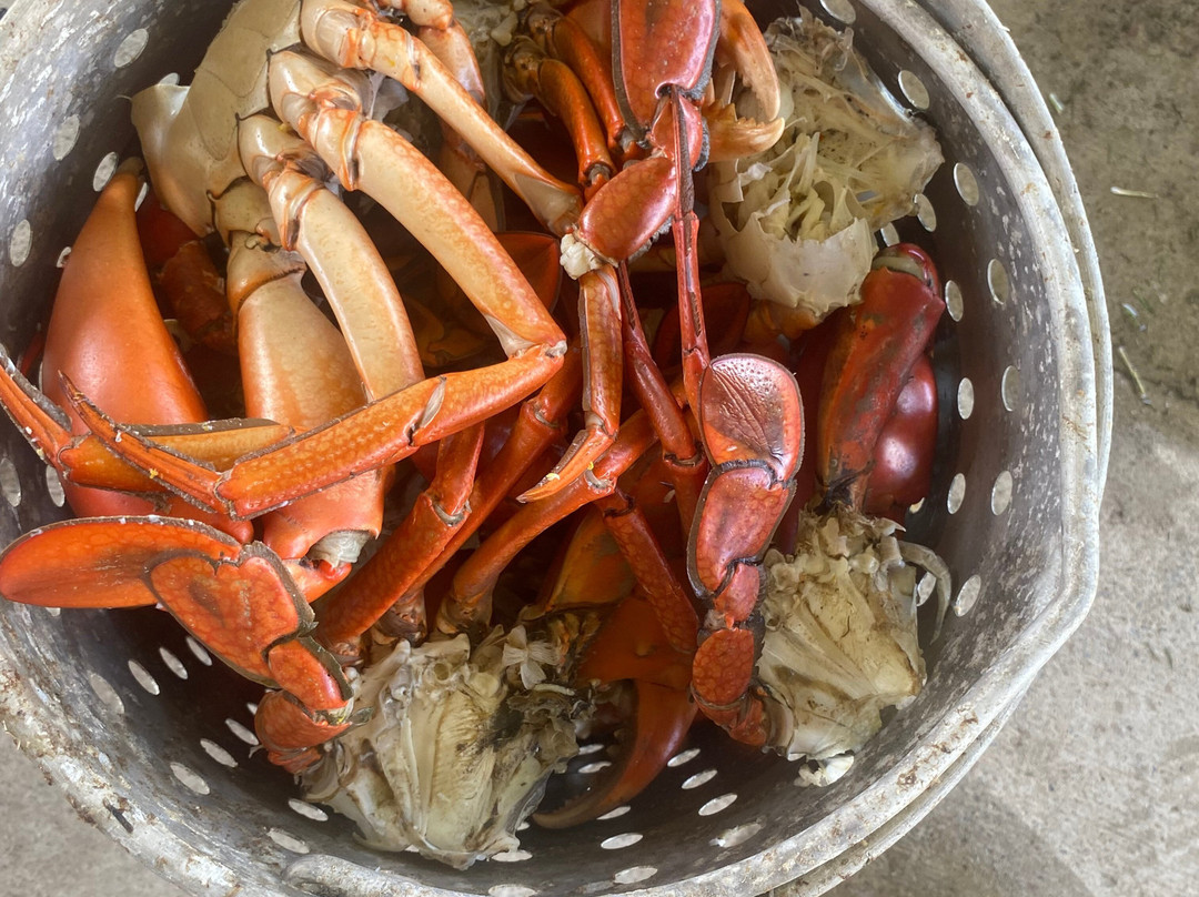 Townsville Boat Hire-汤斯维尔必去景点