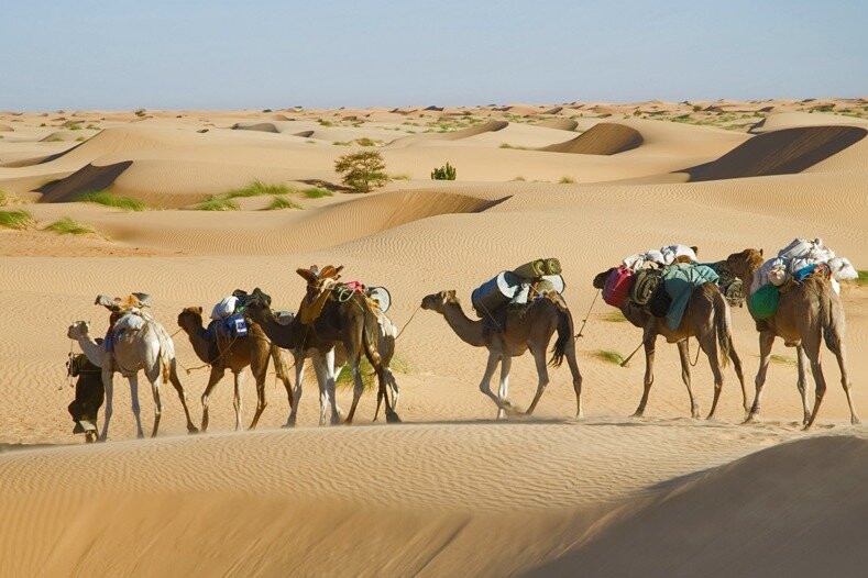 maroc trek desert