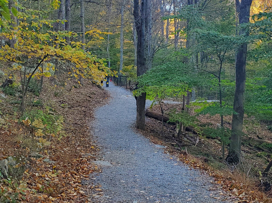 Cunningham Falls State Park-Thurmont必去景点