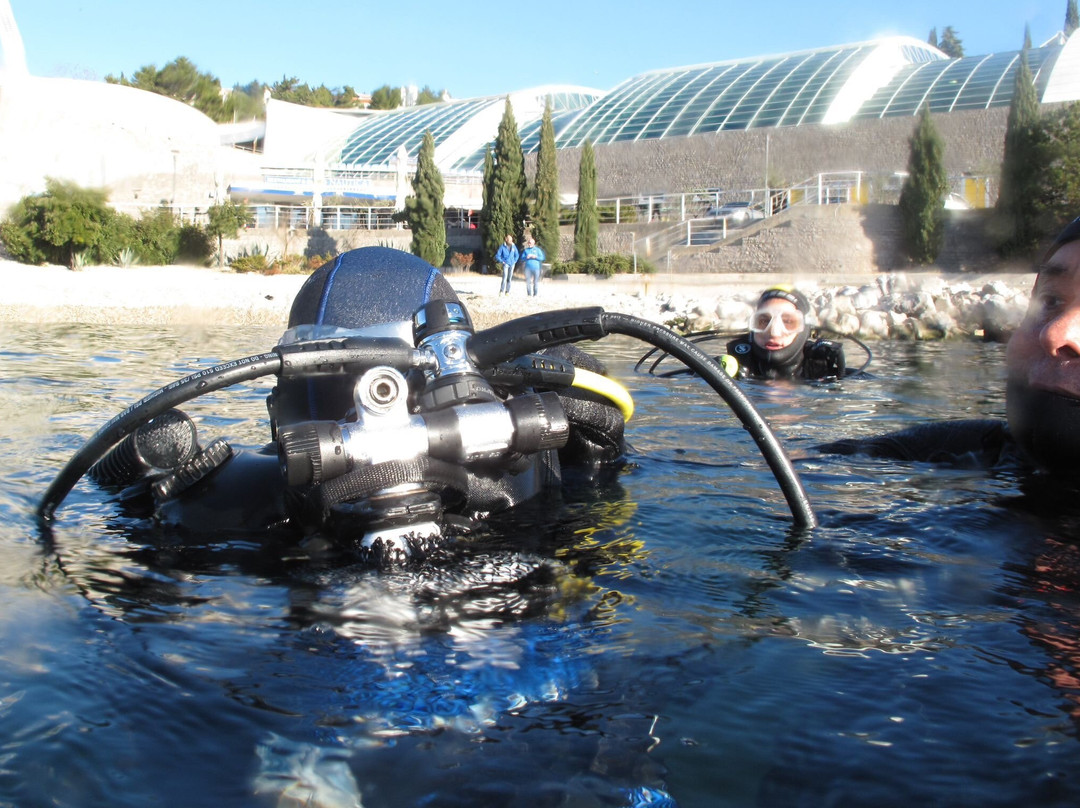 Diving Center Marco Polo景点图片