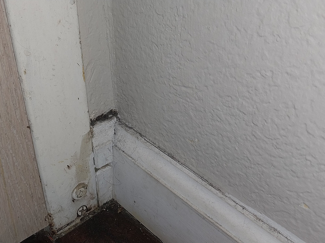 Microtel Inn & Suites by Wyndham Palm Coast主图