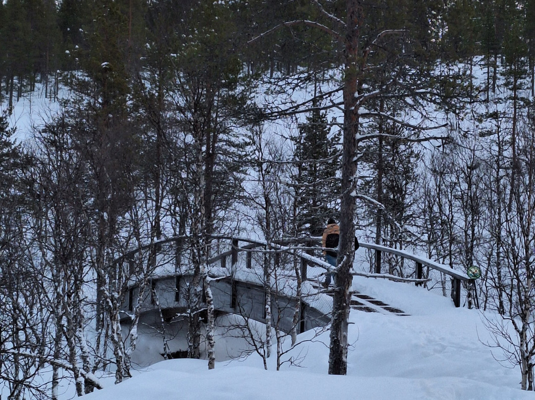 Aurorapolku-伊纳里必去景点