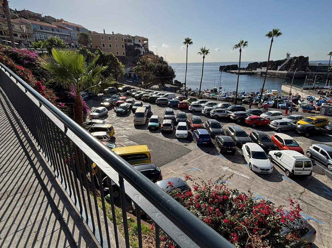 Baia de Camara de Lobos景点图片