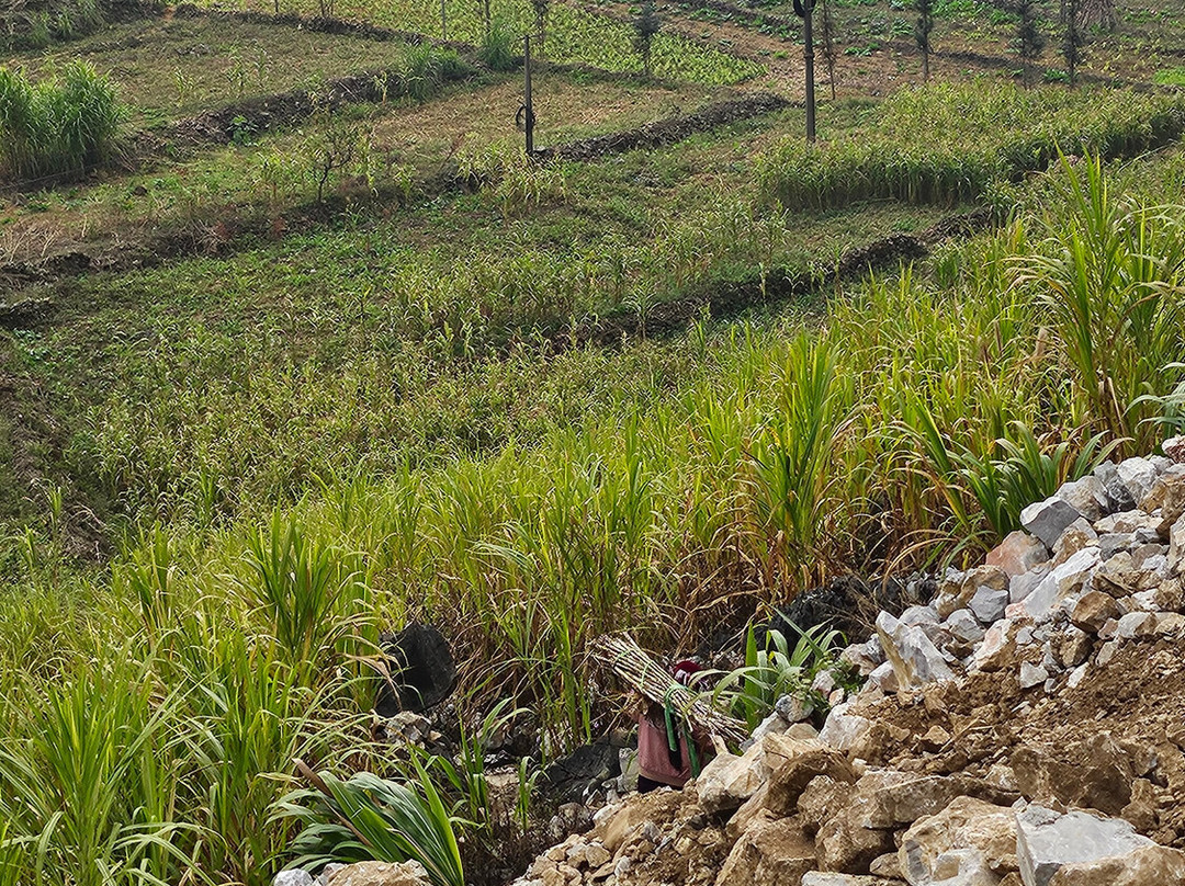 Bee's Ha Giang Tours景点图片