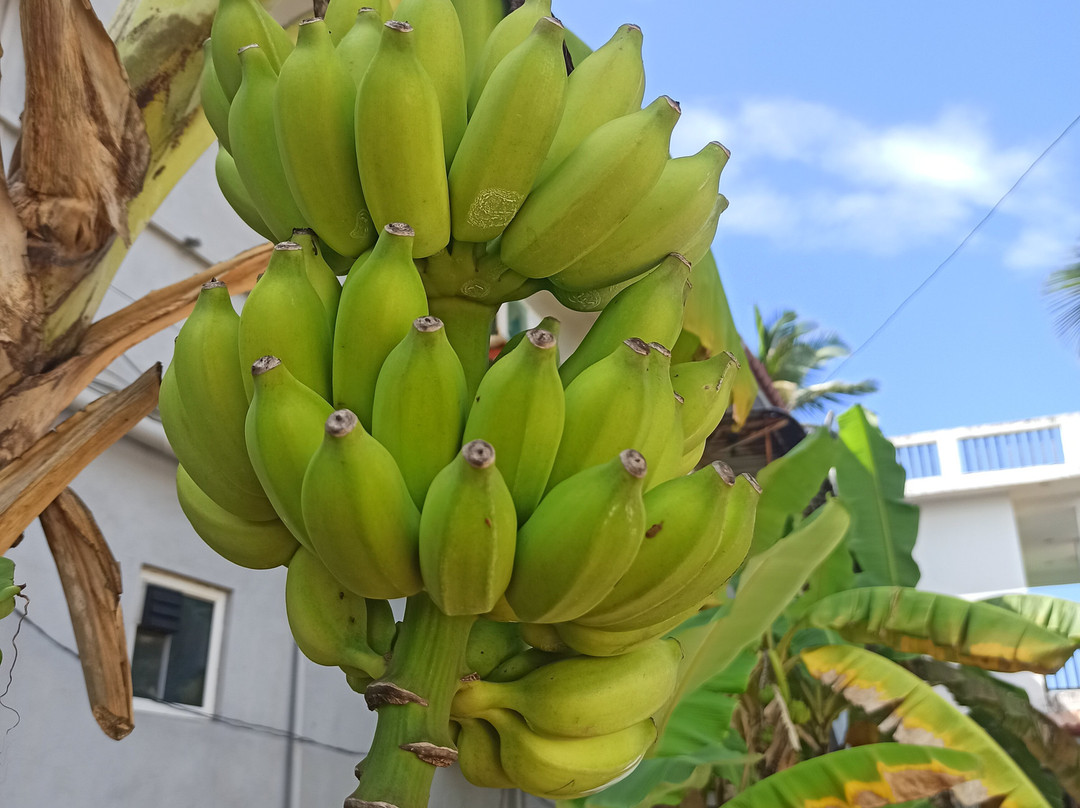 Calypso Sunset Beach Hotel主图