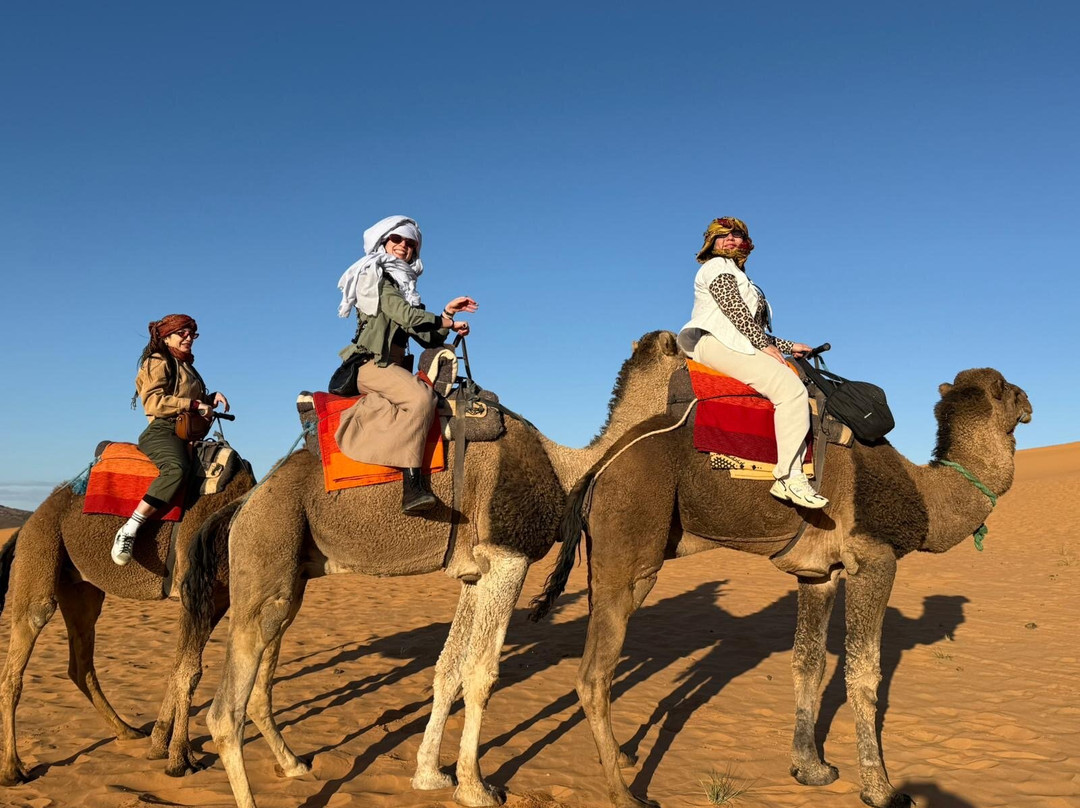 Advisor Morocco Tours景点图片