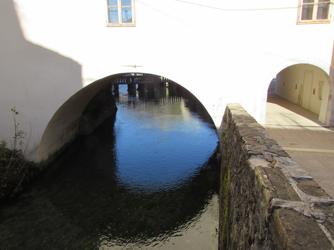 Vipava River Springs景点图片