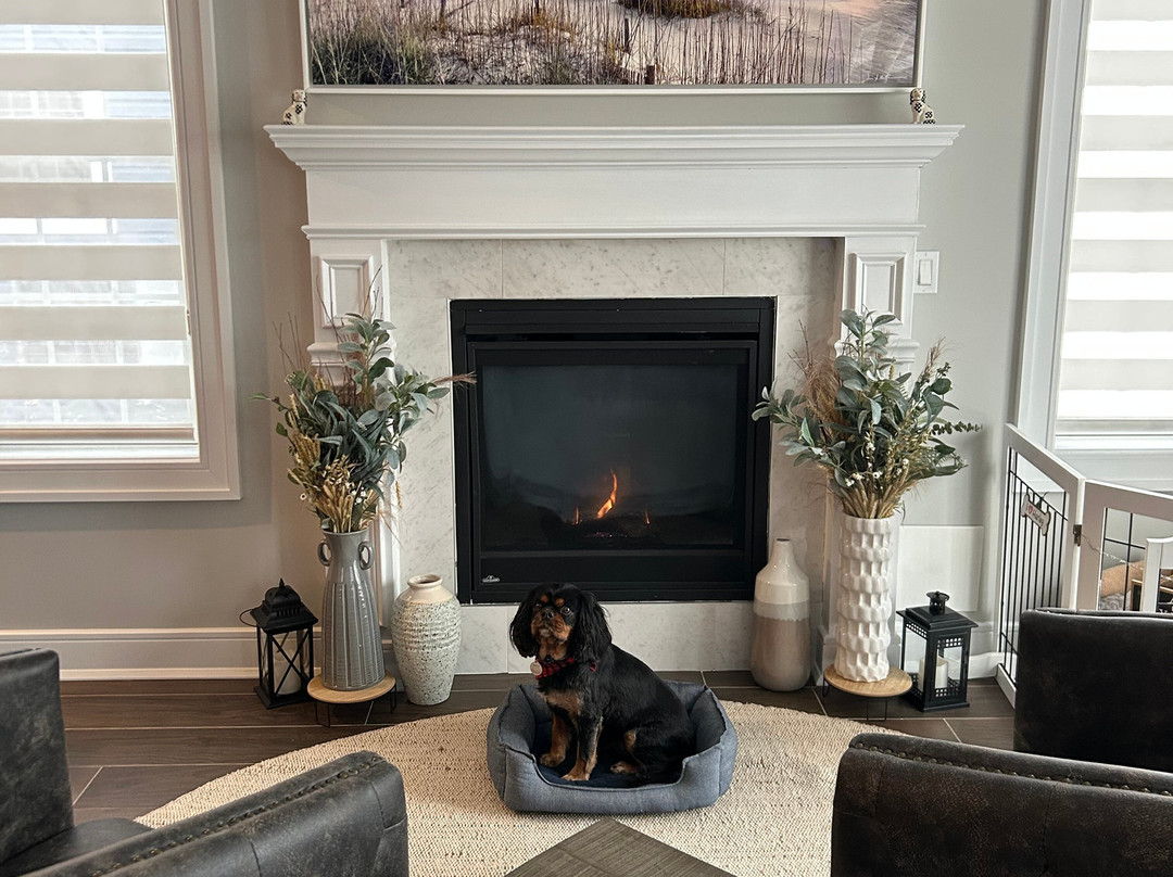 Alan S. Maltz Gallery-基韦斯特必去景点