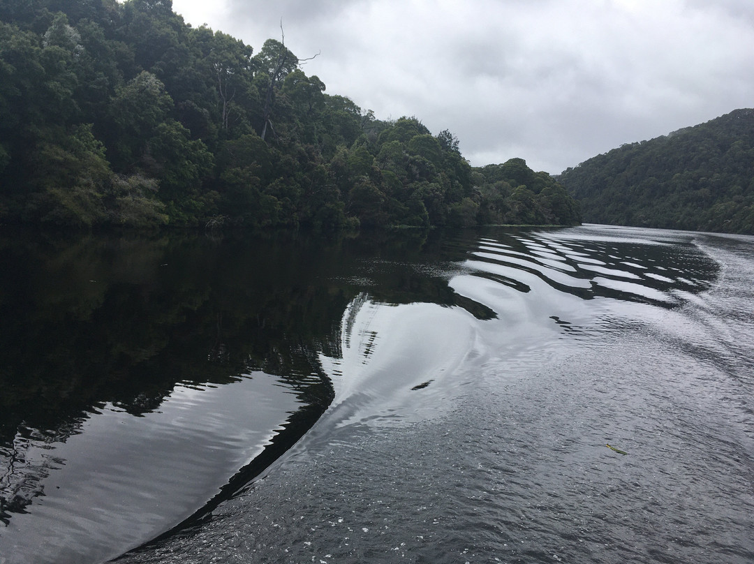 Pieman River Cruise-Corinna必去景点