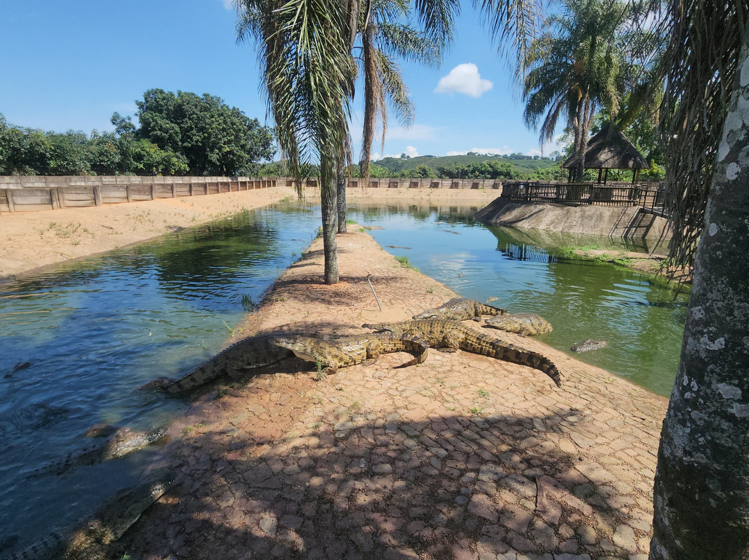Agatha Crocodile Ranch-参宁必去景点