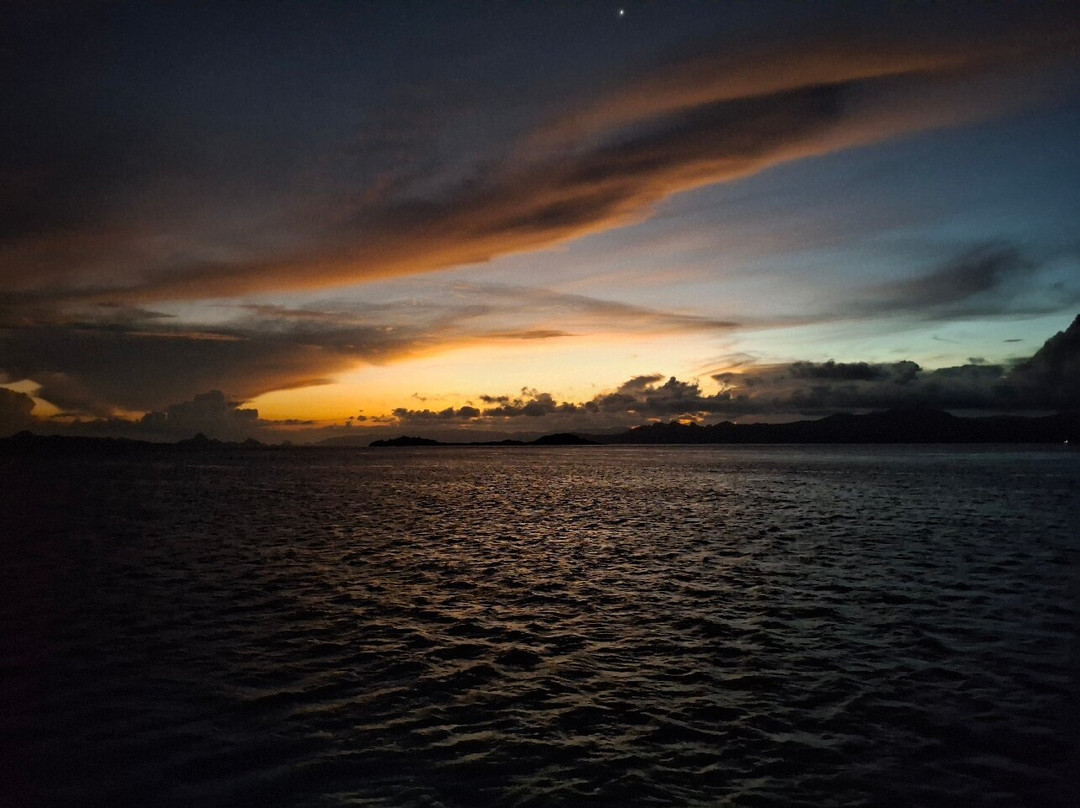 Situju Tuju Cruises景点图片