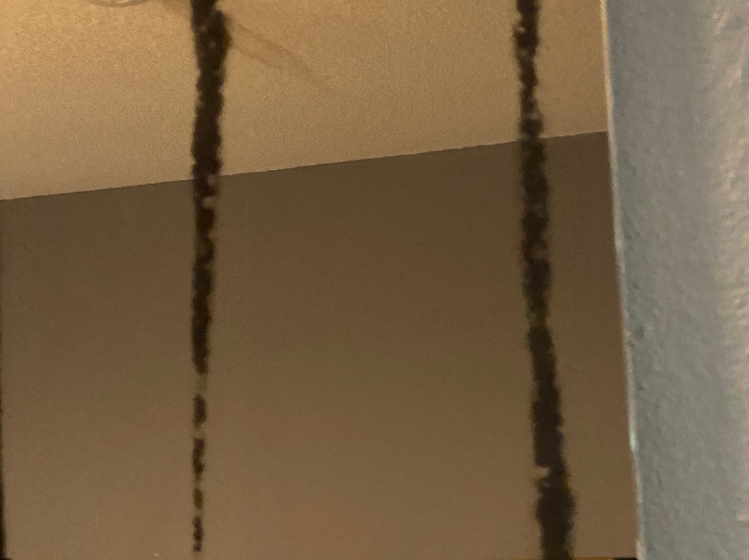 Microtel Inn & Suites by Wyndham Tifton主图