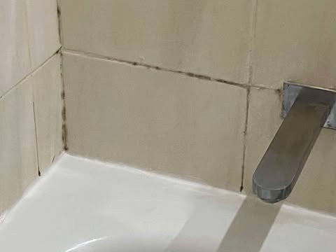 阿多布兰德斯齐酒店主图