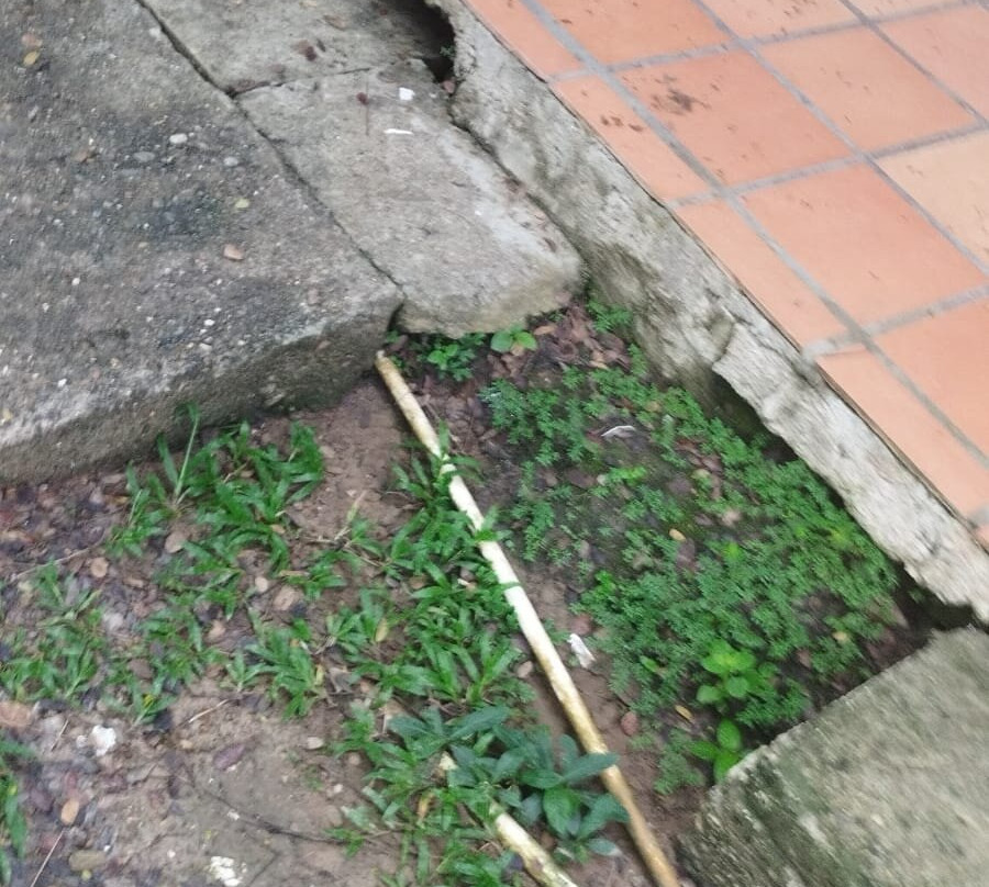 Los Colores Ecoparque主图