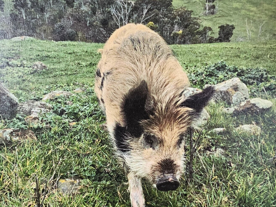 28 gates Luxury Farmstay and Fishery主图