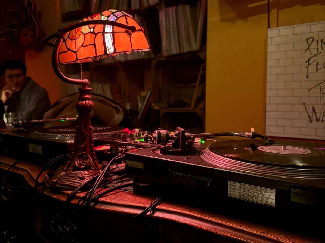 Needle Vinyl Bar-维也纳必去景点