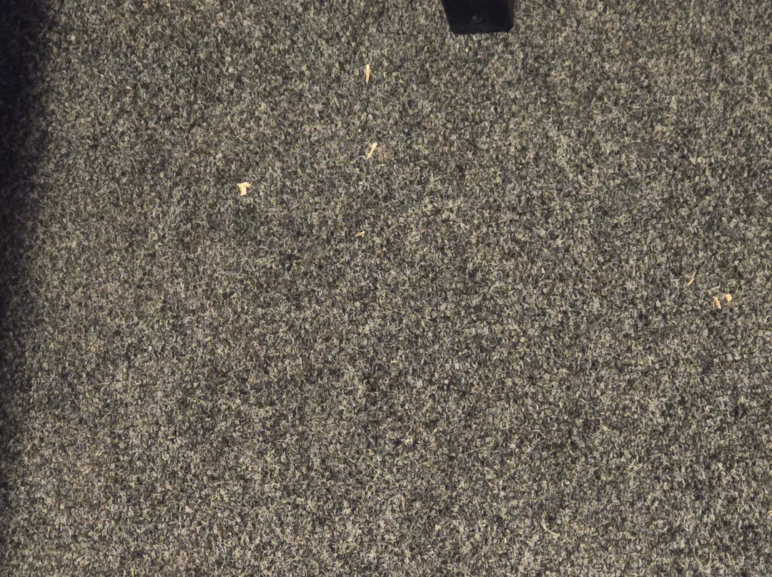 Hotell Dzingel主图