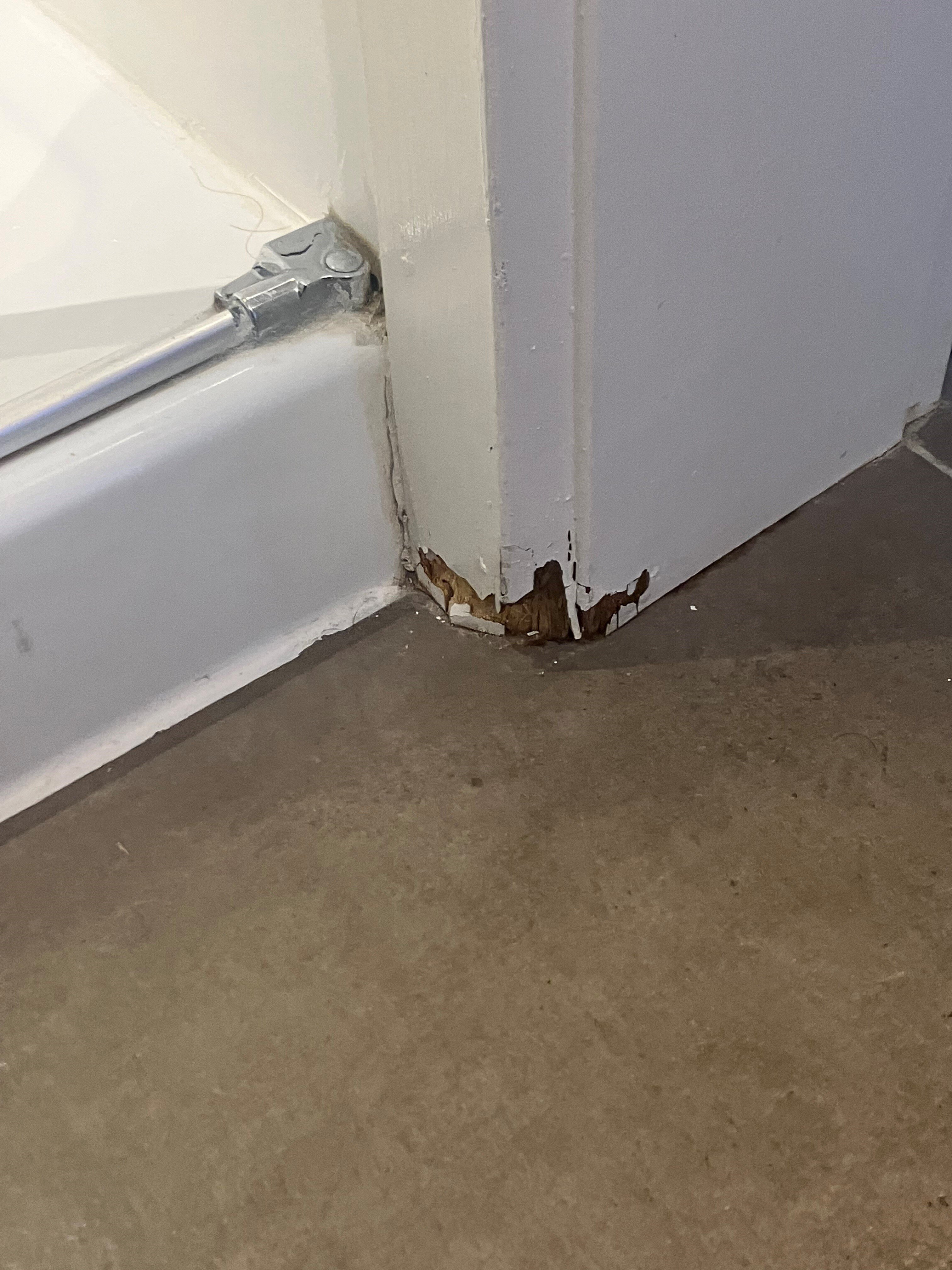 Marriott at the University of Dayton-浴室