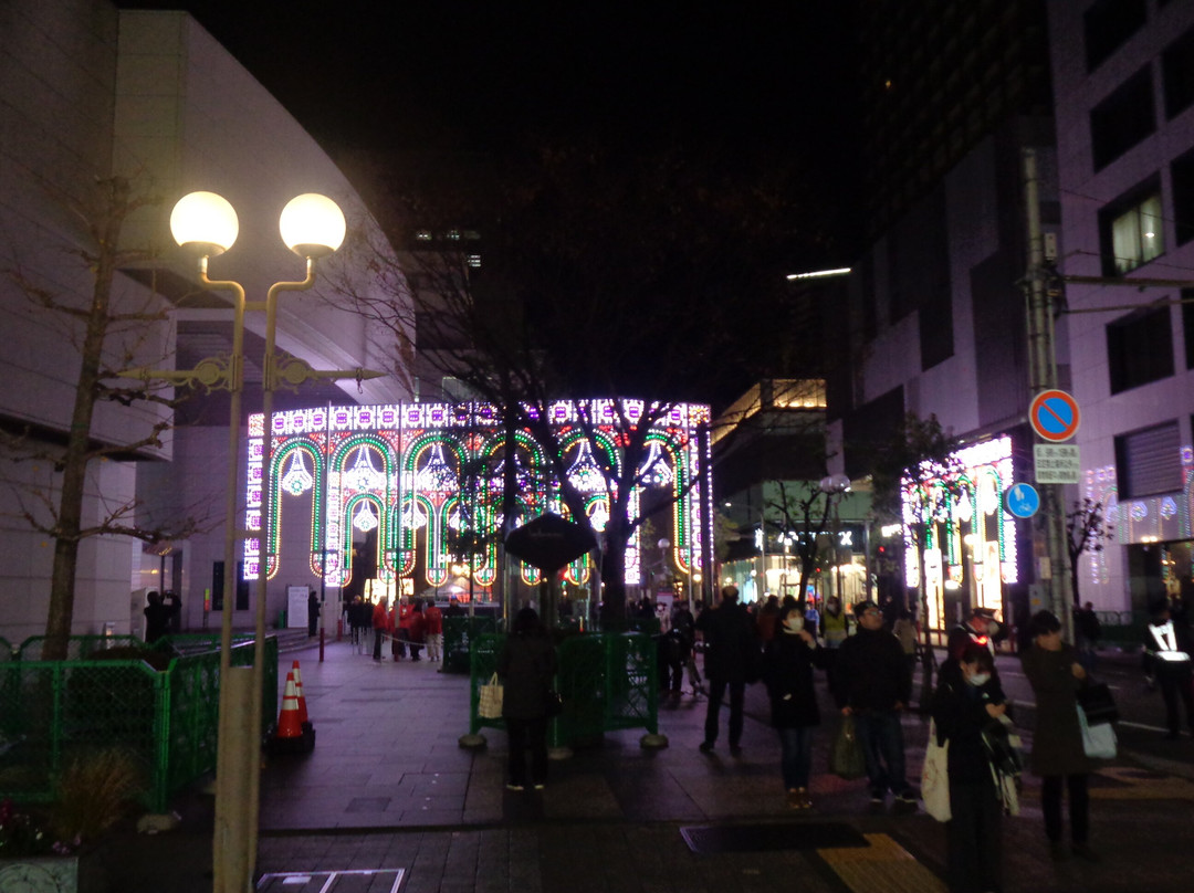 Kobe Luminarie-神户市必去景点