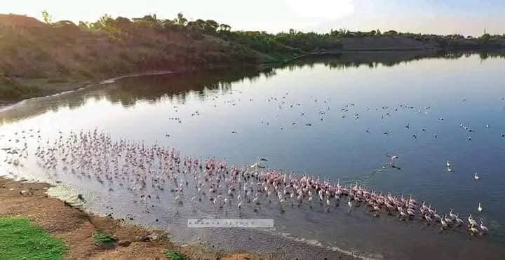 Lake Simbi Nyaima景点图片