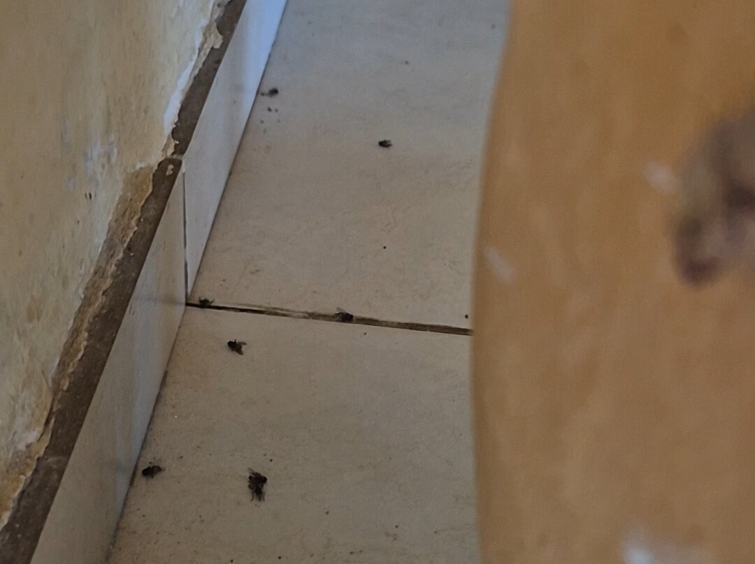 Hotel Arena Carneiros By AFT主图