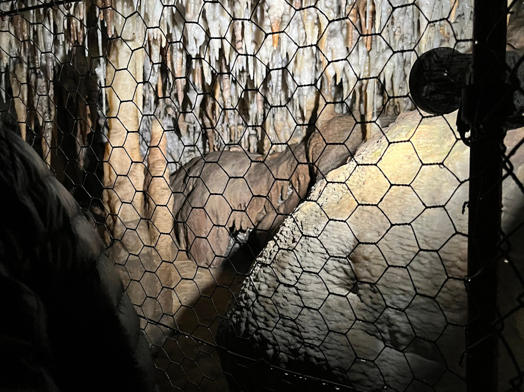 Buchan Caves Reserve景点图片