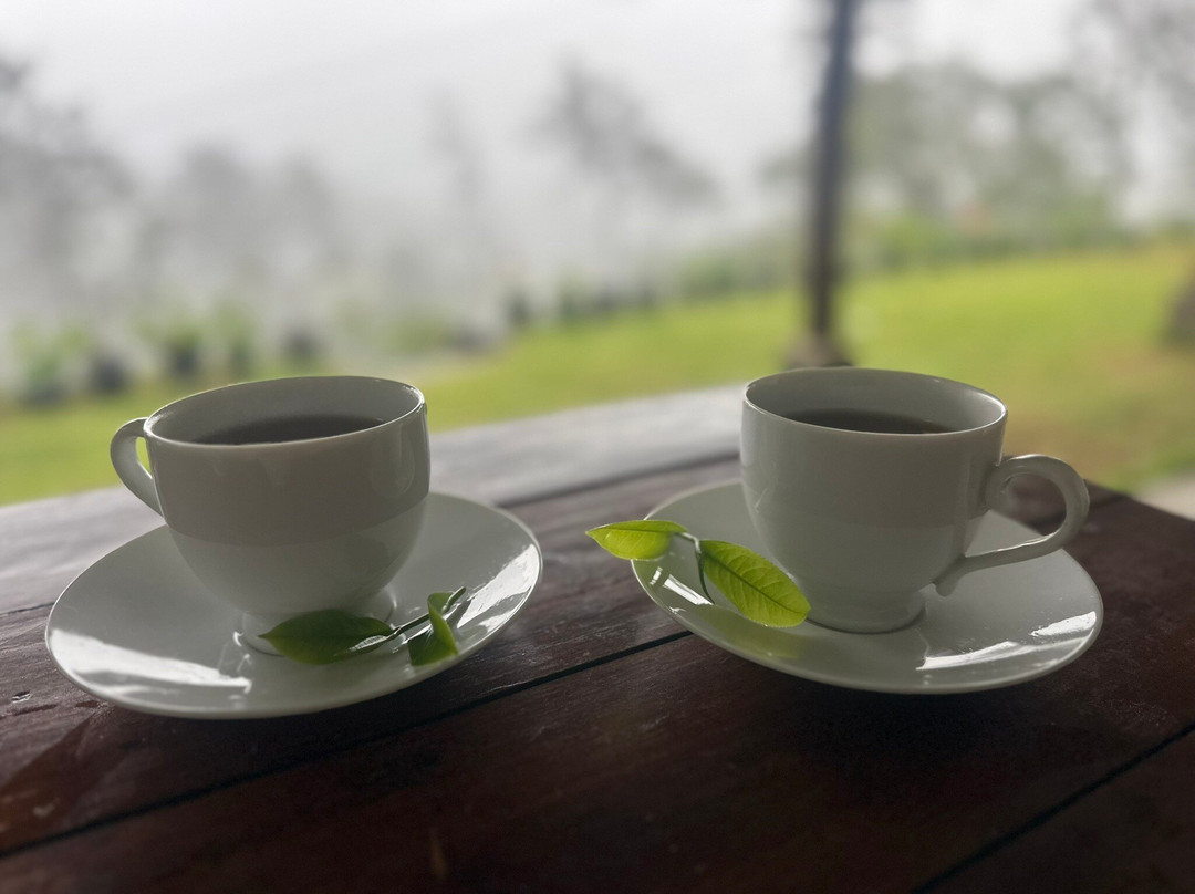 Ella Mountain Palace主图