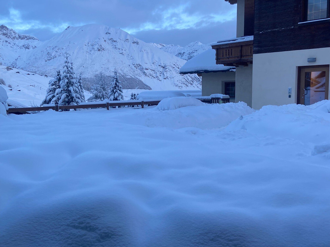 Hotel del Bosco主图