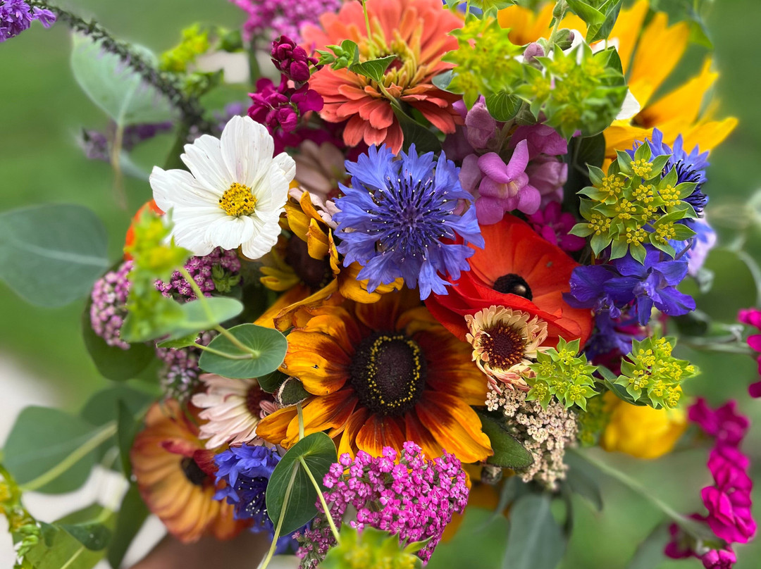 Dahlia Valley Ranch-Arnold必去景点