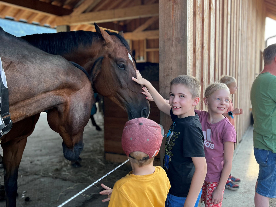 Chalets Und Apartments Hauserhof主图