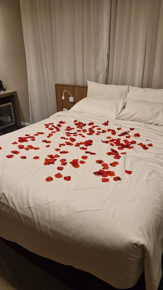 Mercure Belo Horizonte Vila da Serra-客卧
