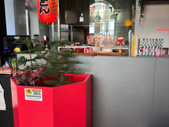 Ramen Bar Akira - Brescia S. Faustino