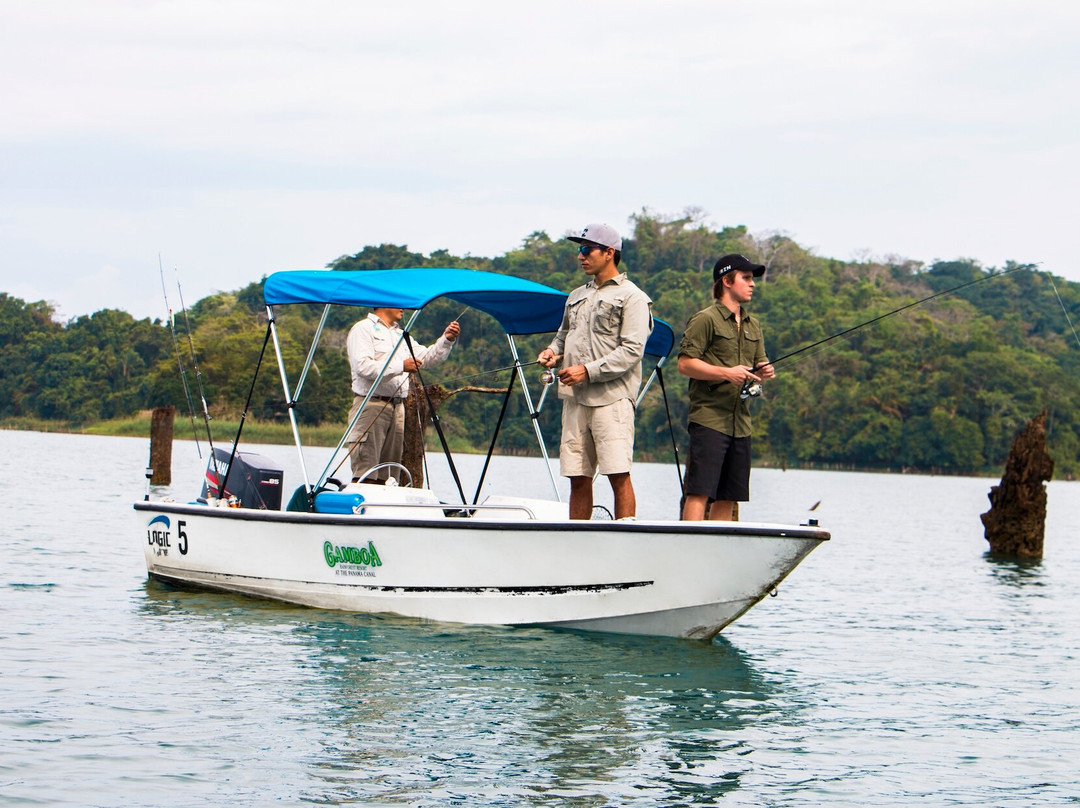 Gamboa Rainforest Reserve主图