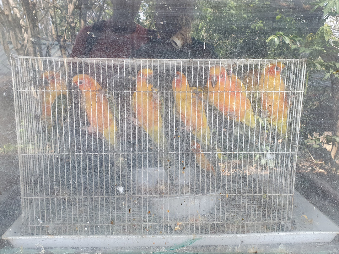 Hanthana International Bird Park